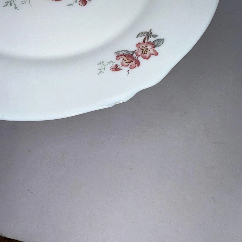 Lot 5 Vintage Arcopal France Florentine Cherry Blossom 10
